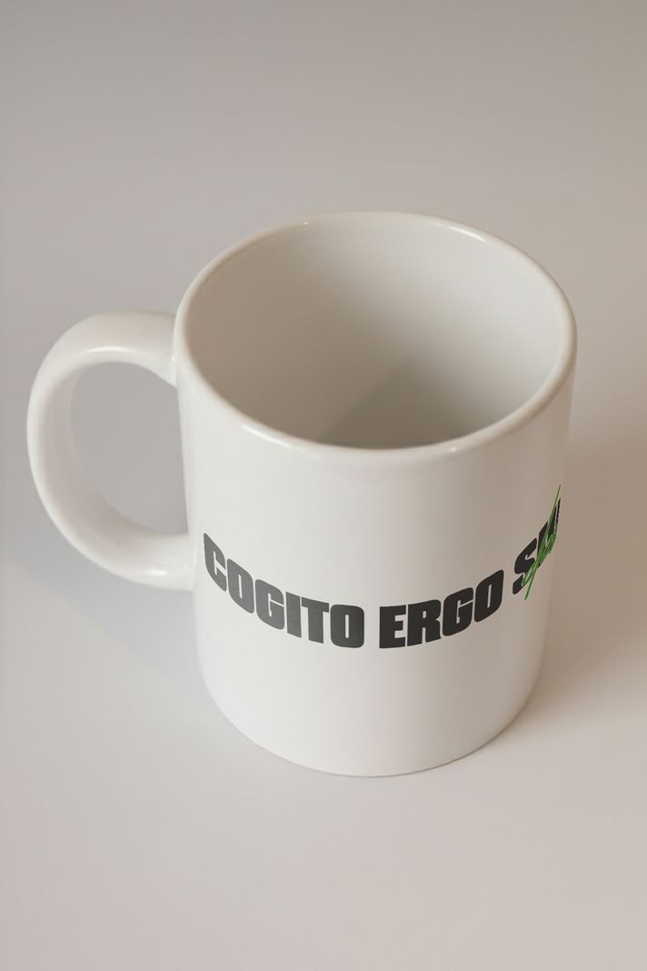 Cogito Ergo Sum Kupa - 2. görsel