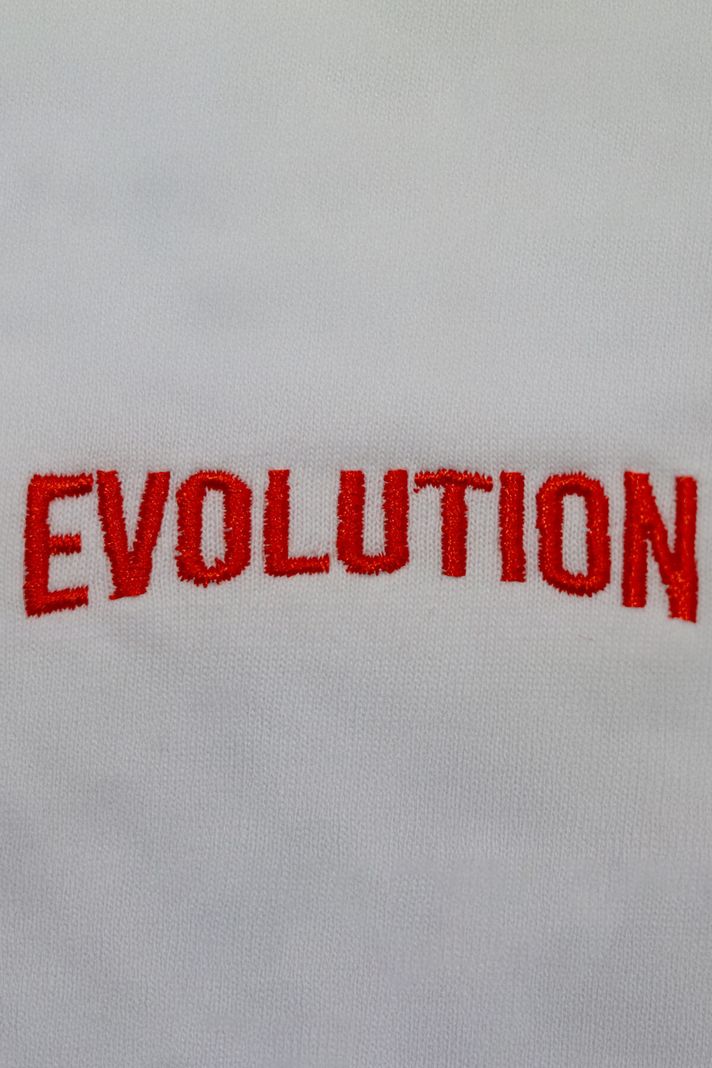 Kırmızı Evolution Nakışlı Tişört - 4. görsel