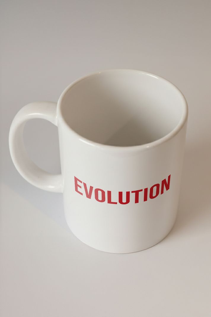 Evolution Yazılı Kupa - 2. görsel