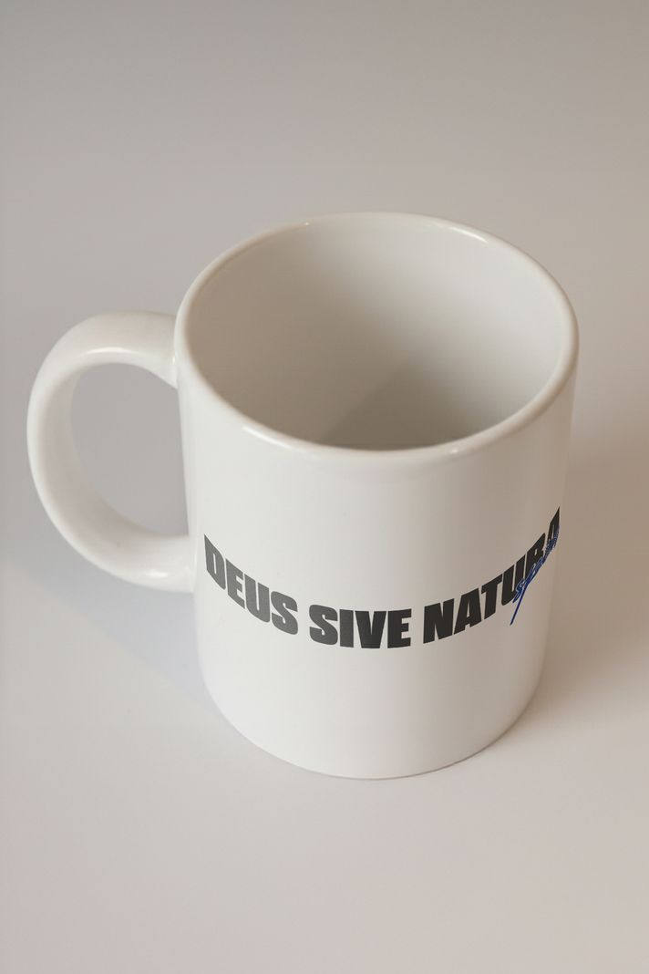 Deus Sive Natura Kupa - 2. görsel